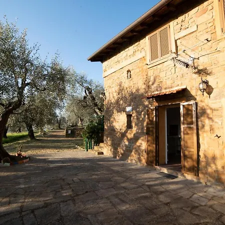 Casetta Maduneta Immersa In Un Oliveto Holiday home