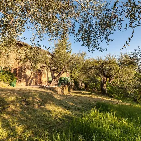 Casetta Maduneta Immersa In Un Oliveto Holiday home